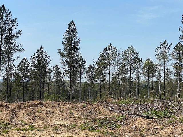2nd image of 9 County Road 351