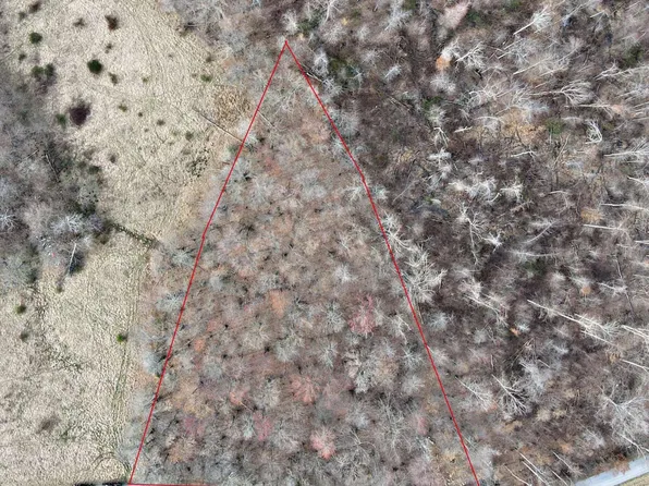 9999 Flatwoods School Rd Tract 4, Crab Orchard, KY 40419