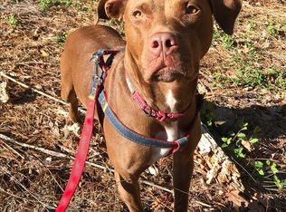 5725 Normans Rd, Rougemont, NC 27572