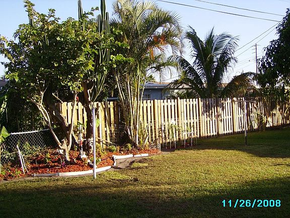 Back yard w/tropical plants