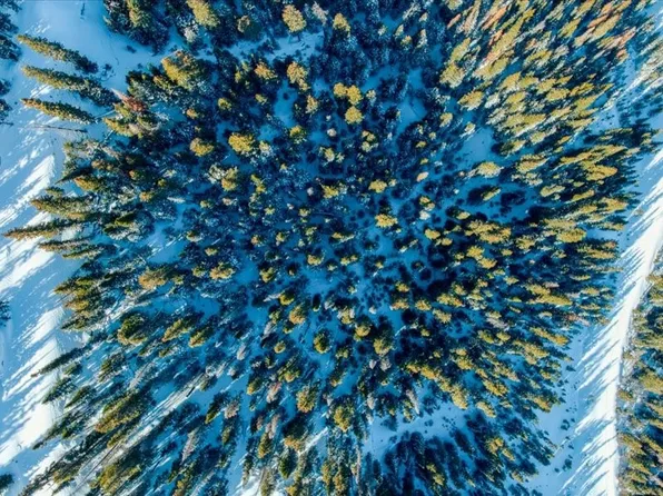 651 County Road 805, Breckenridge, CO 80424