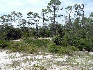 30861 River Rd lot