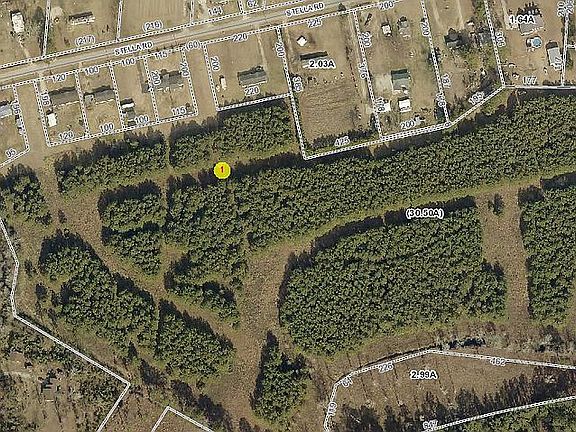 County GIS image of tract.