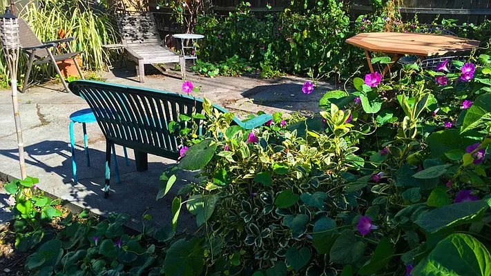 Rented by Terra Magia Inc | media 37