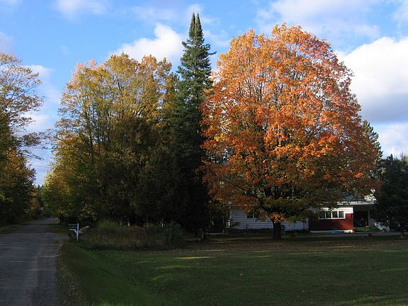 House tucked in behind colorful hardwoods.