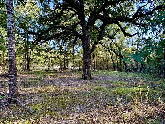 2nd image of County Road 4025
