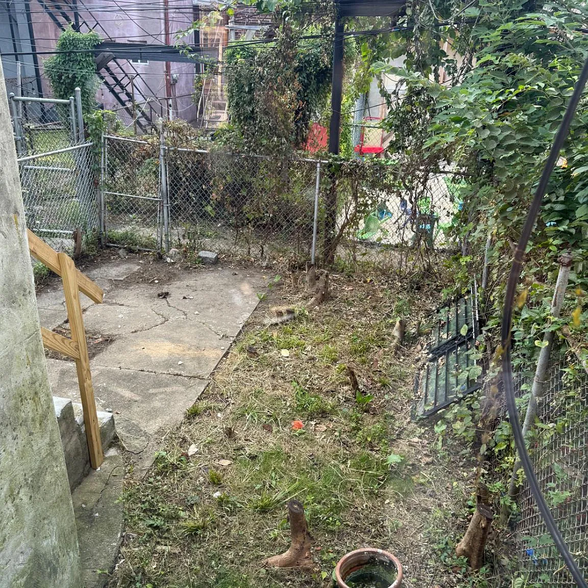 3 bed, 1.0 bath, 1120 sqft, $1,500 — Photo 3