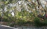 1st image of Countess Of Egmont Fernandina Beach Amelia Is