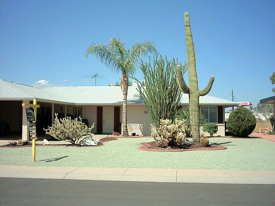 Desert Landscaping