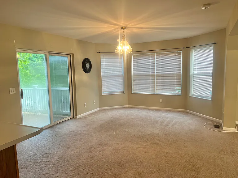 3745 Lemay Woods Dr — Photo 5