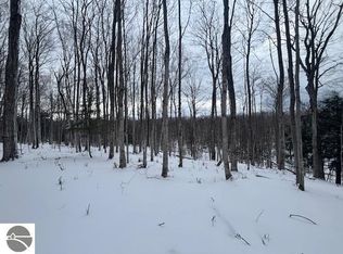 0 Kilkenny Ln, Ellsworth, MI 49729