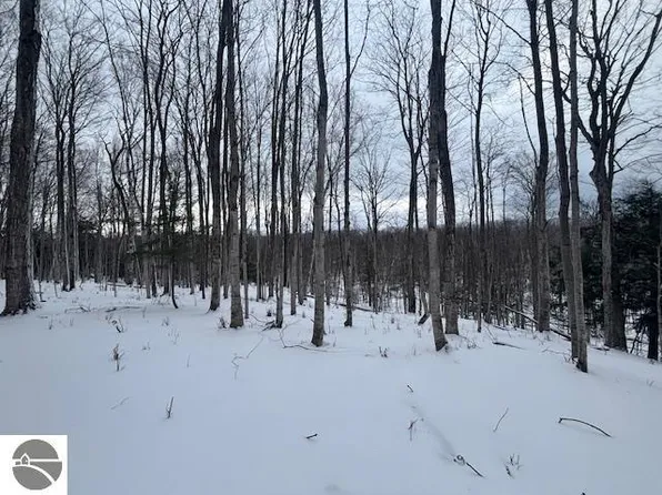 0 Kilkenny Ln, Ellsworth, MI 49729