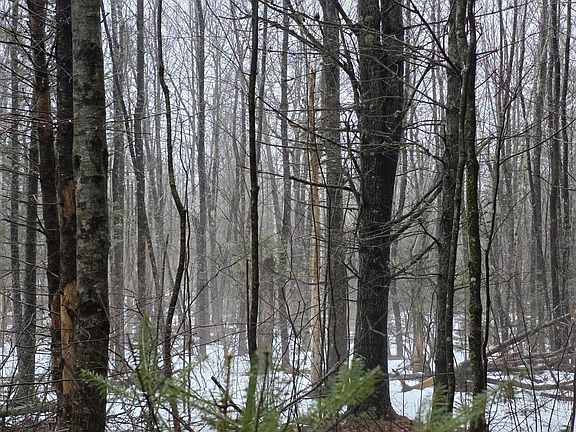 2nd image of 00 Harriman Road