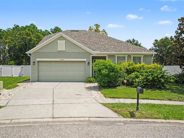 23046 WOOD VIOLET COURT, LAND O LAKES, FL 34639