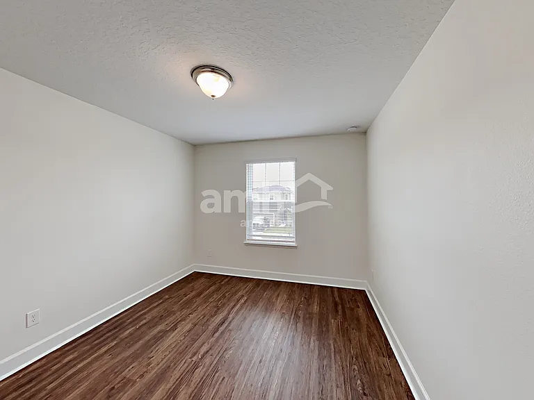 1397 Celery Palm Cv — Photo 19