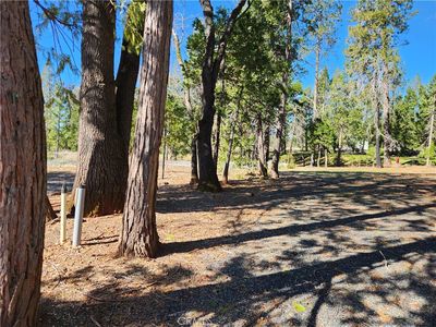 13705 Endicot Cir #41, Magalia, CA, 95954