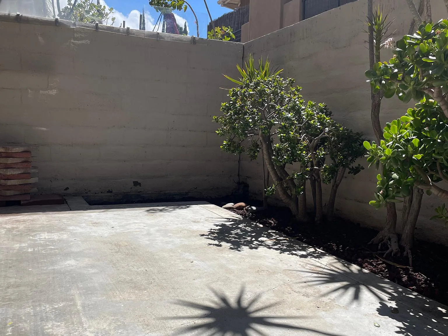 2 bed, 1146 sqft, $3,450 — Photo 4