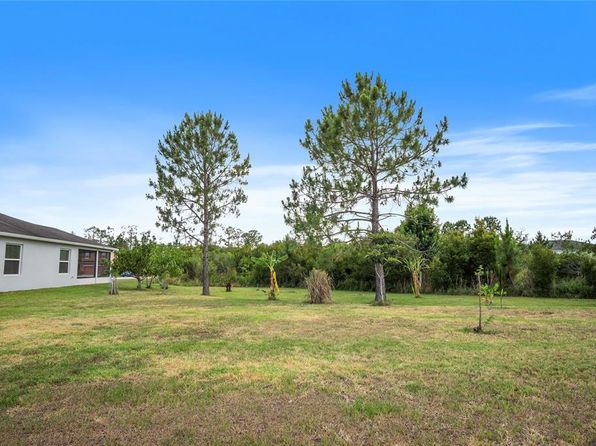 1688 Tamarind Rd, Davenport, FL 33896