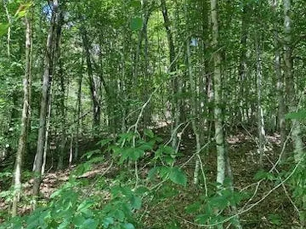 0 Off Chapman Highway Tarwater, Sevierville, TN 37876