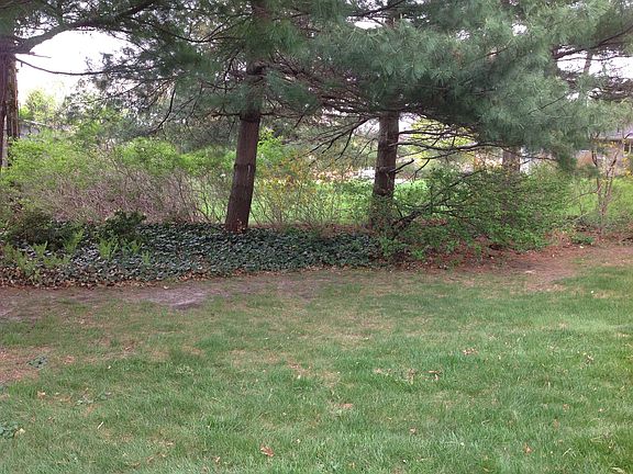 2nd image of 1017 Ohio Ave