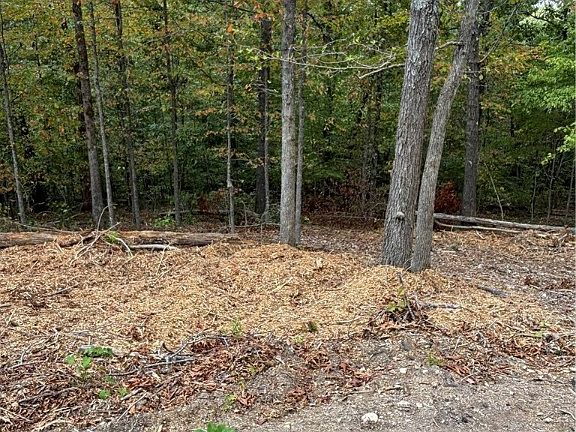 3rd image of Lothian Dr #7