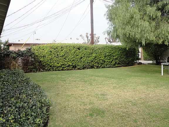 Large Landsacped Yard Area