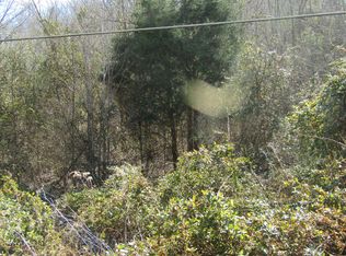 10 Davis Valley Rd, Afton, TN 37616