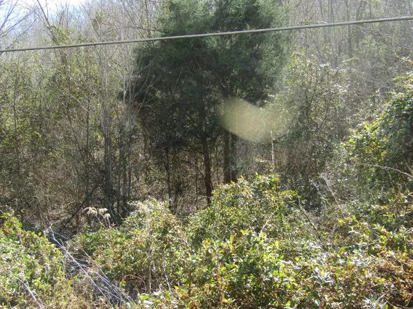 10 Davis Valley Rd, Afton, TN 37616