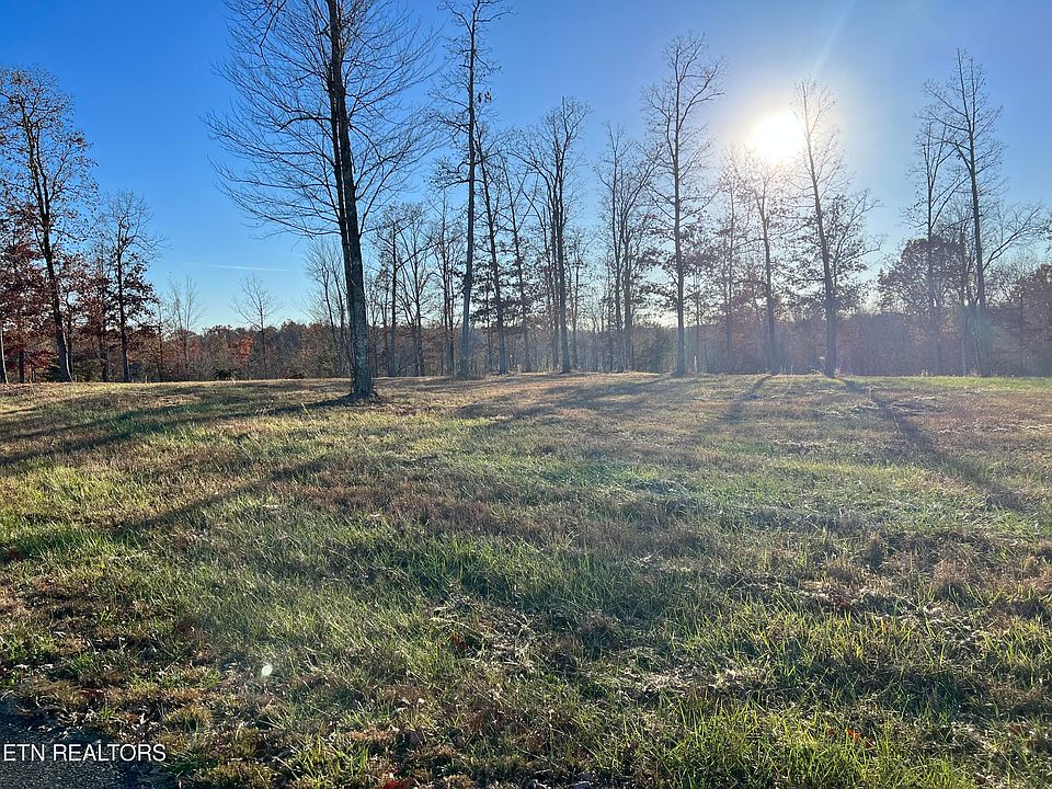 2nd image of Bluff View Dr