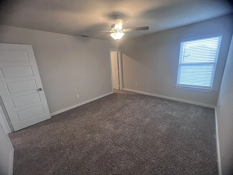 3237 Hyacinth — Photo 28