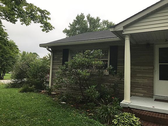 Rhododendron front side