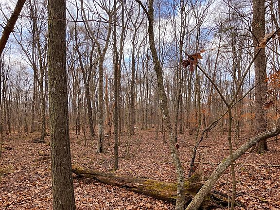 4th image of 3180 Spring Place Rd SE