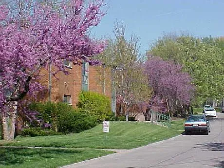 Grounds