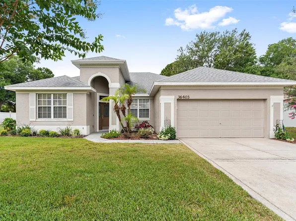 36403 Grand Island Oaks Cir, Grand Island, FL 32735
