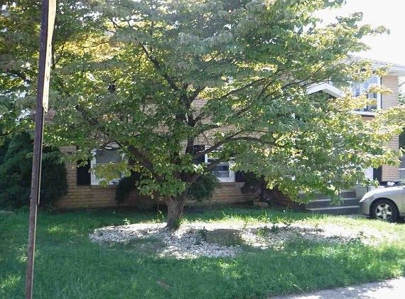 3rd image of 1402 E Tremont St