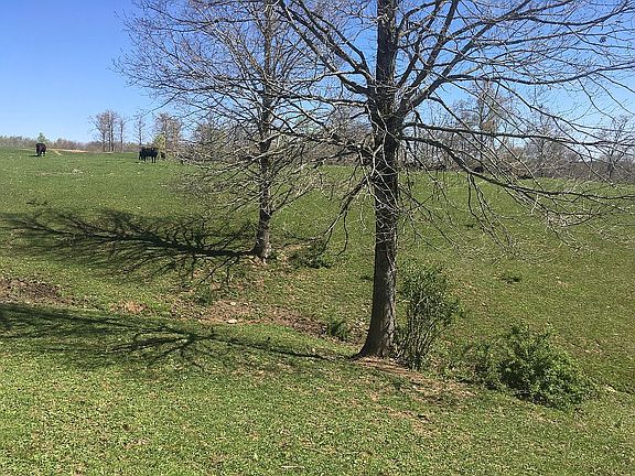 4th image of 1241 Bell Rd