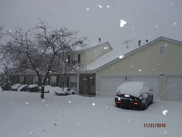 1st image of 673 Thorntree Ct APT D1