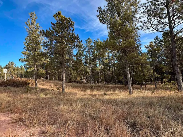 LOT 9 Argyle Rd, Hot Springs, SD 57747