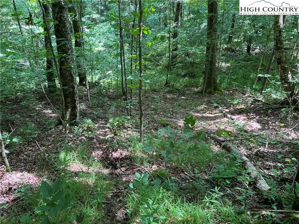 000 Lots 8 and 9 Highland Circle, Sugar Mountain, NC 28604