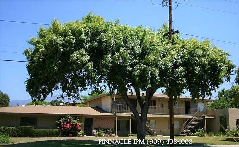1st image of 502 N Towne Ave APT 3