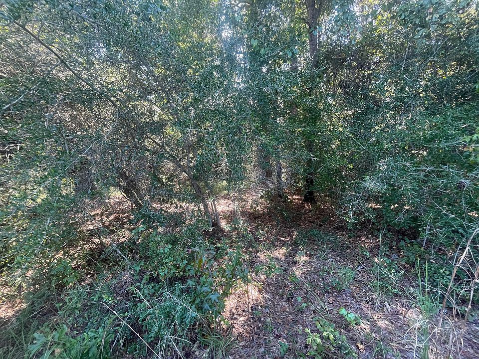 1342 Boy Scout Rd, Defuniak Springs, FL 32435 Zillow