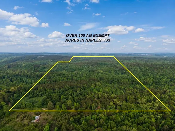 2742 Cr, Naples, TX 75568