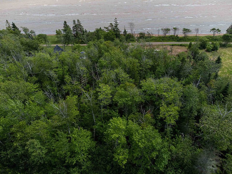 2nd image of LOT 20 Blue Jay Dr