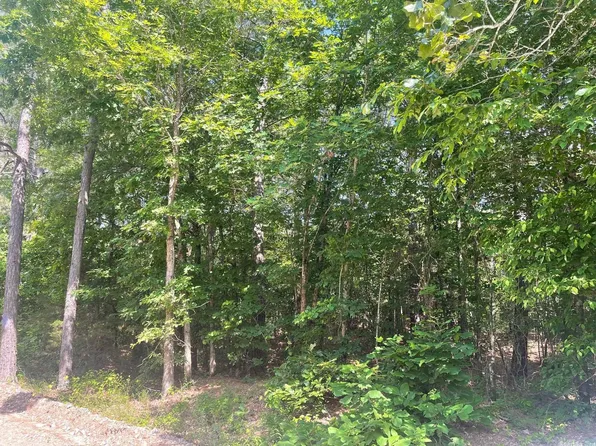 (undisclosed Address), Mena, AR 71953