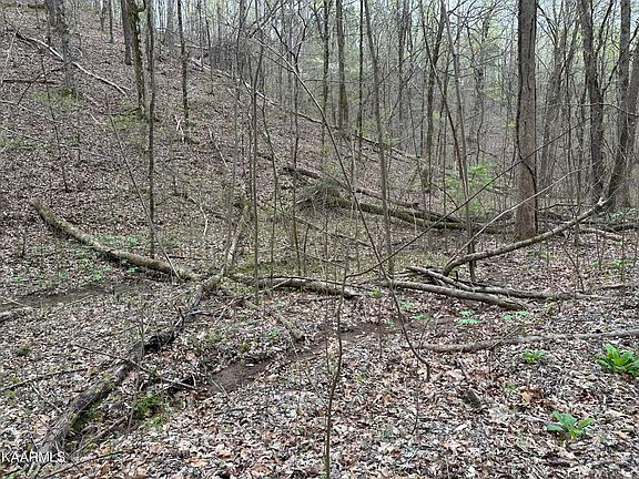5th image of Old Highway 72