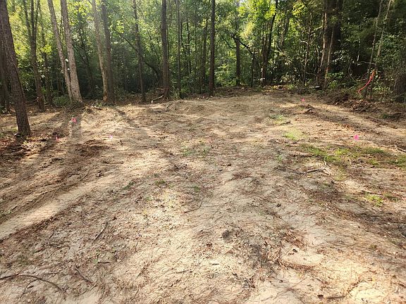 5th image of Persimmon Rd