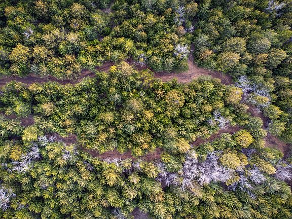 3rd image of Spring Valley Rd #62