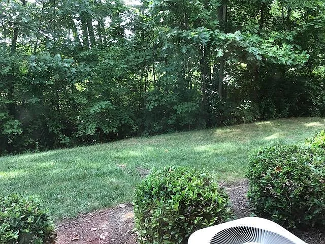 outdoor view from Sunroom