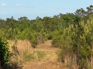 Mount Bethel Rd, Sandy Hook, MS 39478