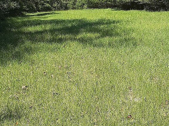 4th image of County Road 266